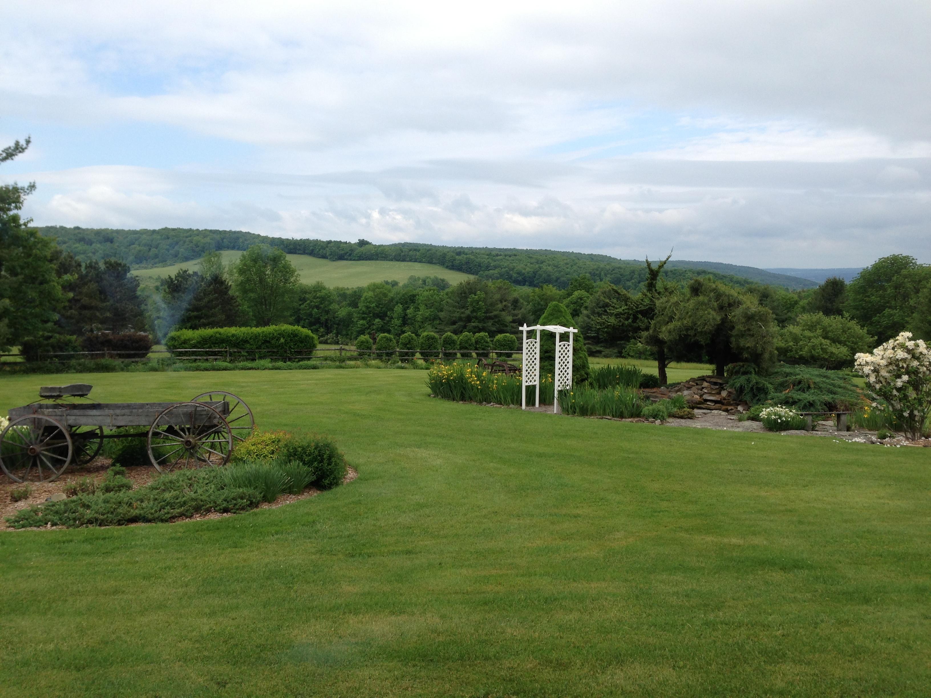 Photo by sasparilla97