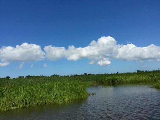 Airboat Swamp Adventures