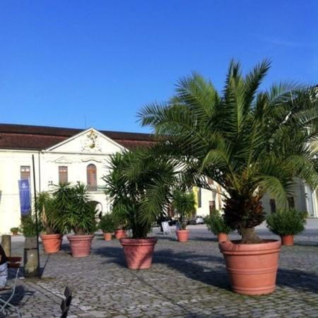 Forum am Schlosspark