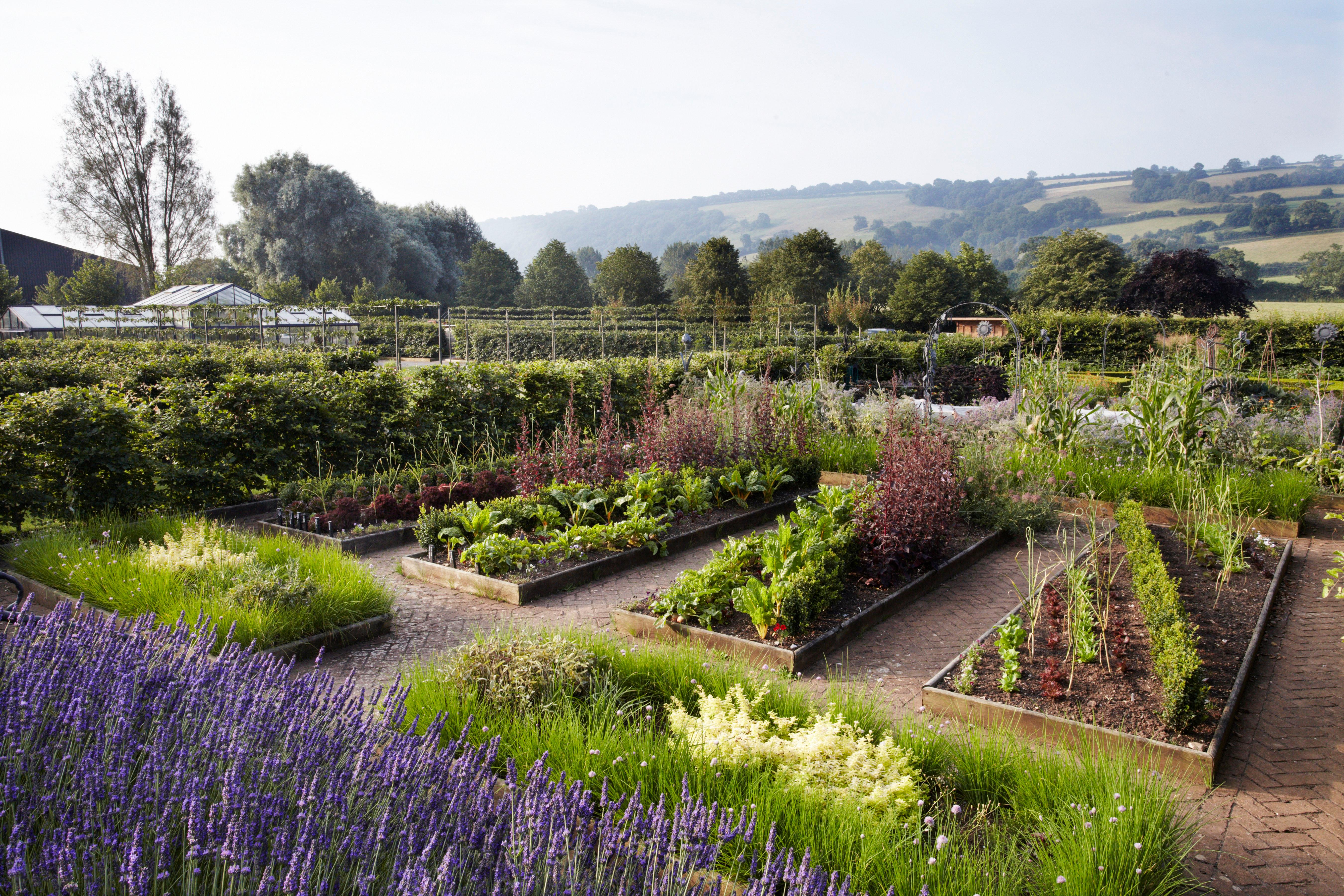 Yeo Valley Organic Garden