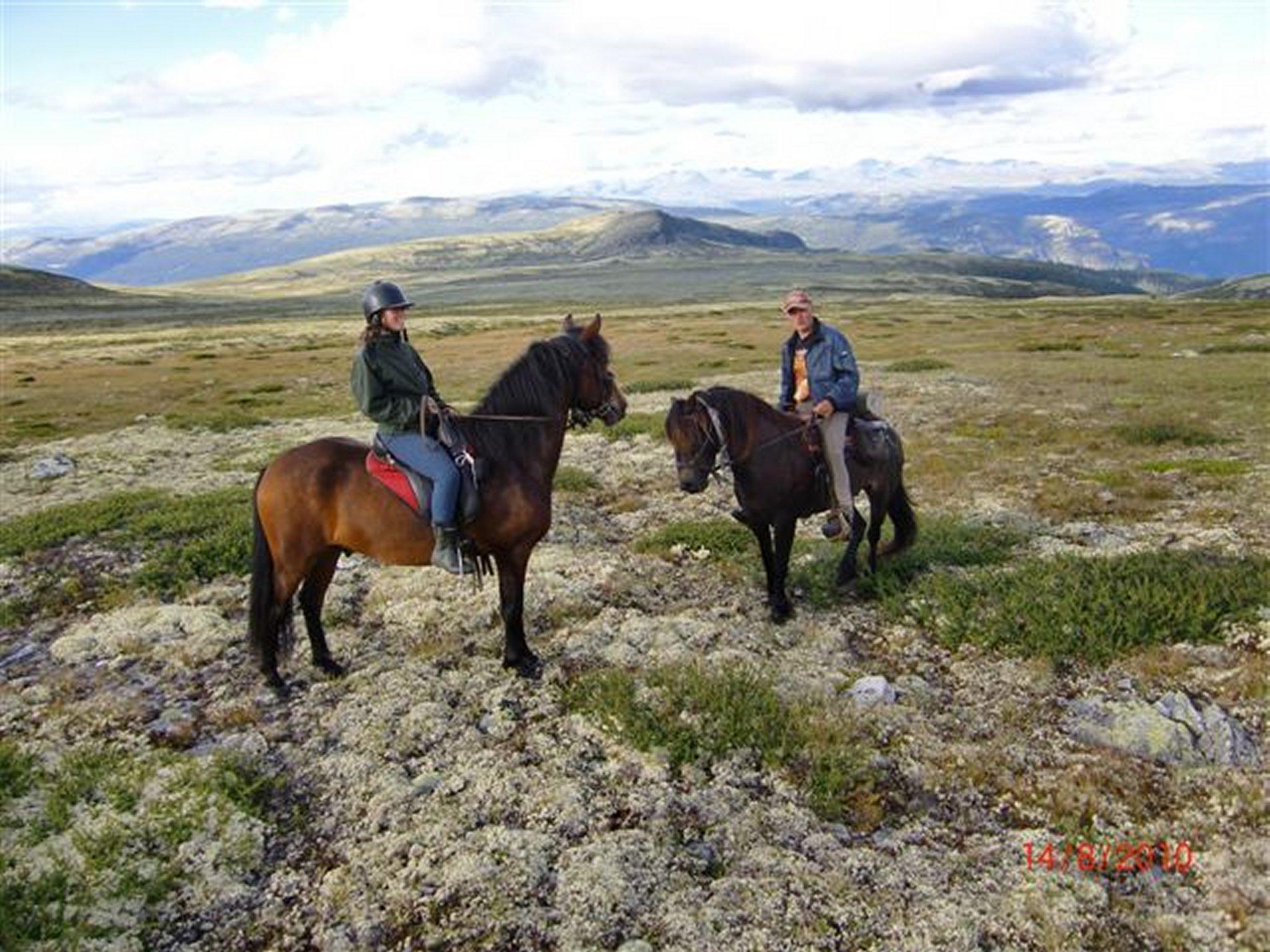 Øien Øvre Hesteaktiviteter