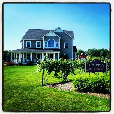 New Vines Bed & Breakfast