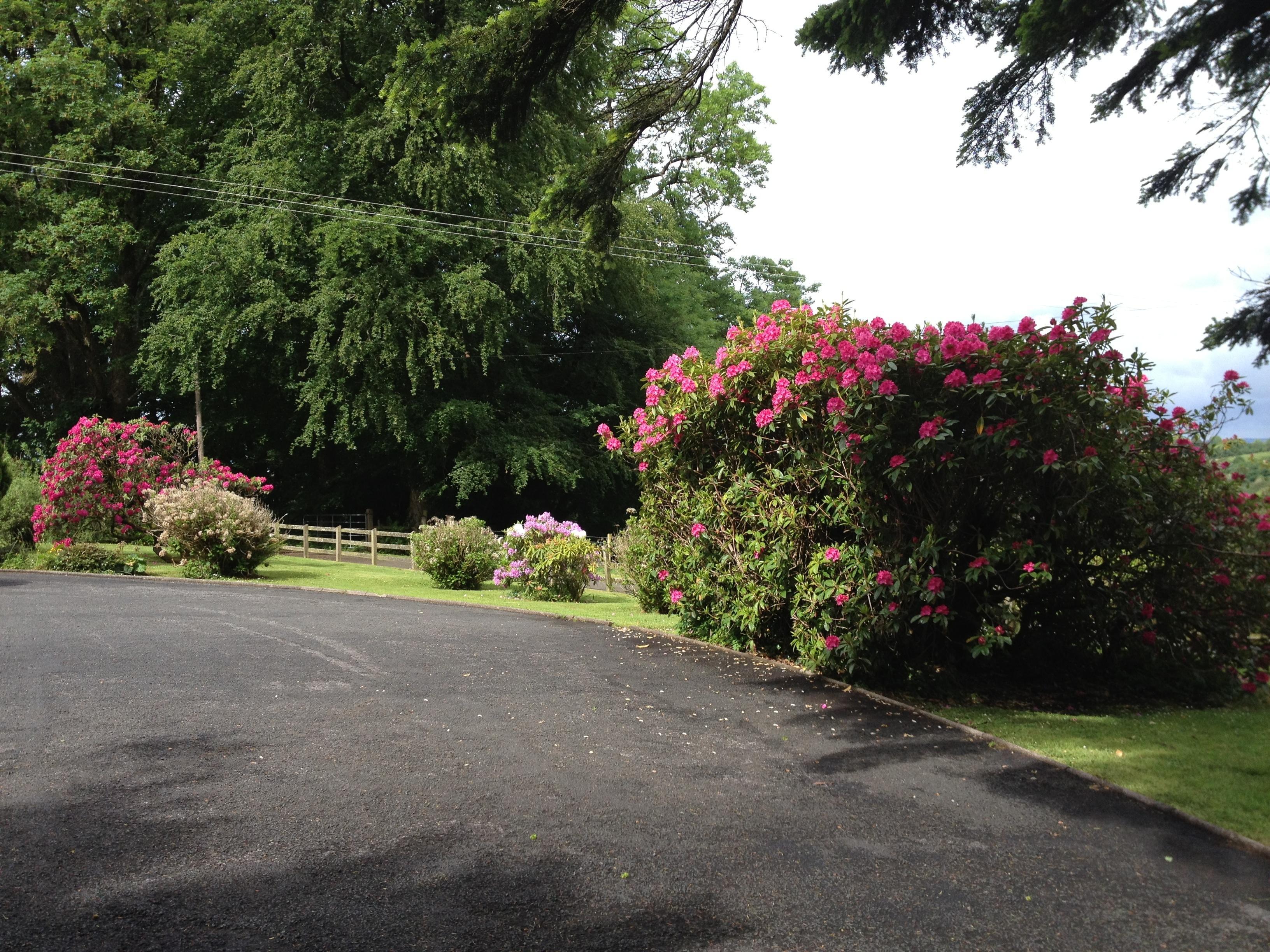 Dromard House Bed & Breakfast