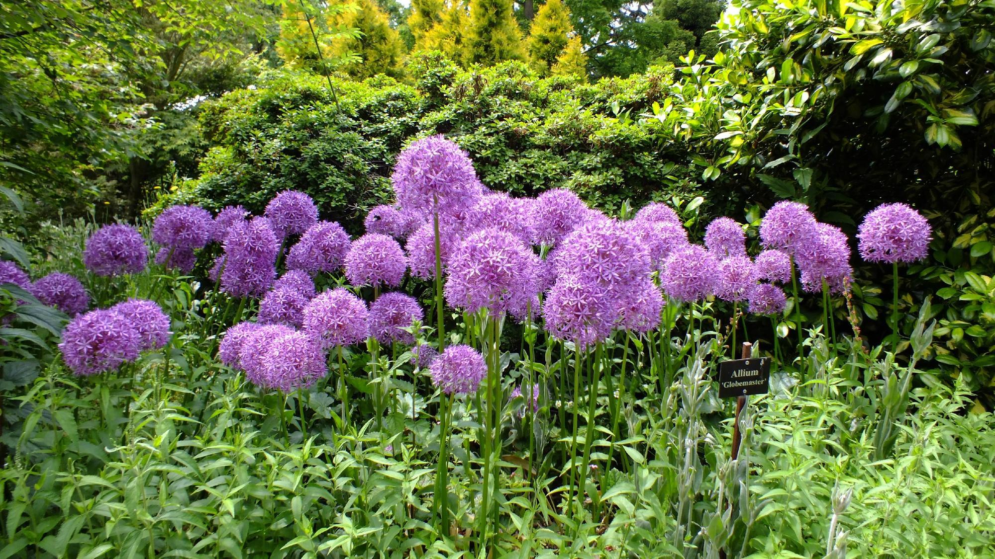 Ness Botanic Gardens