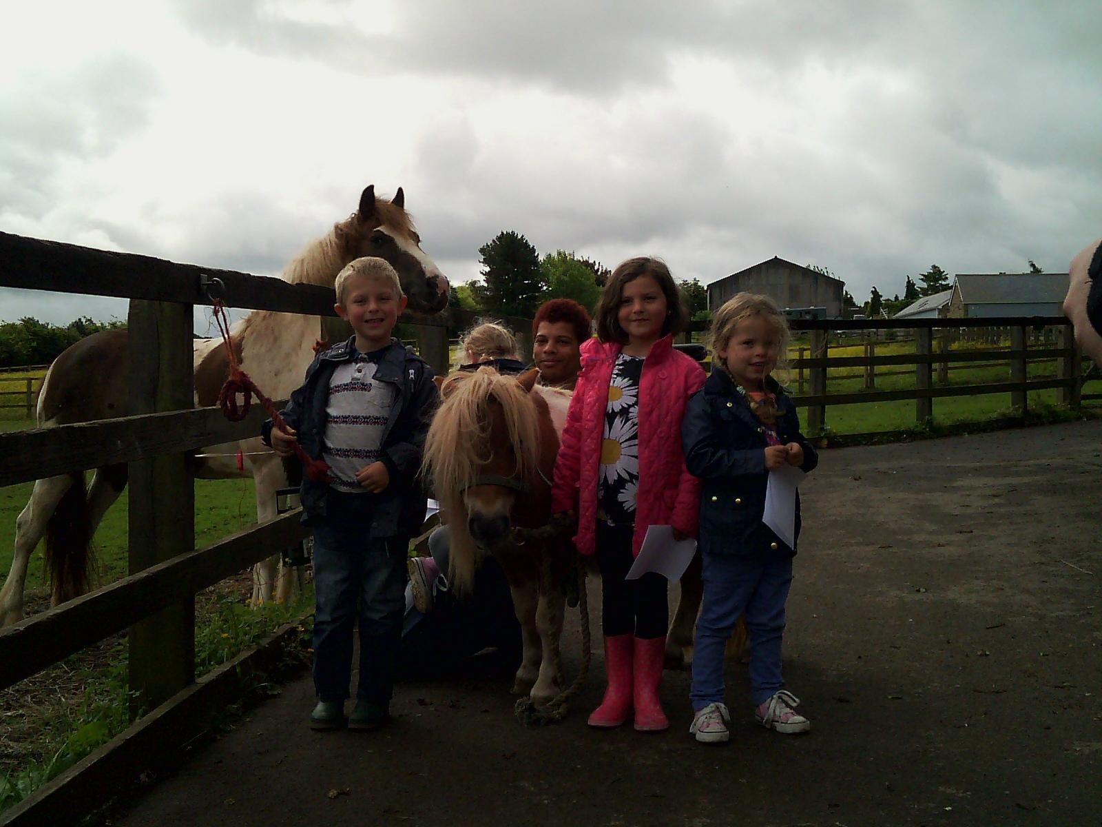 Sicklinghall Pony Parties