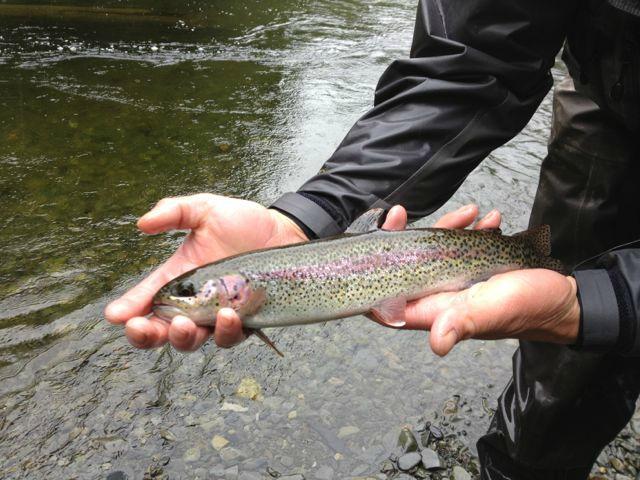 Classic Casting Adventures