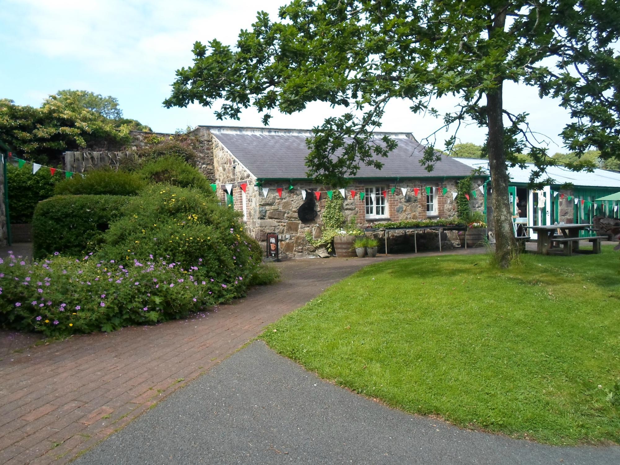 Caffi'r Gath Ddu/The Black Cat Cafe