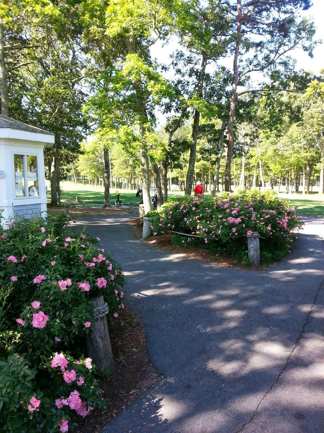 The Captains Golf Course