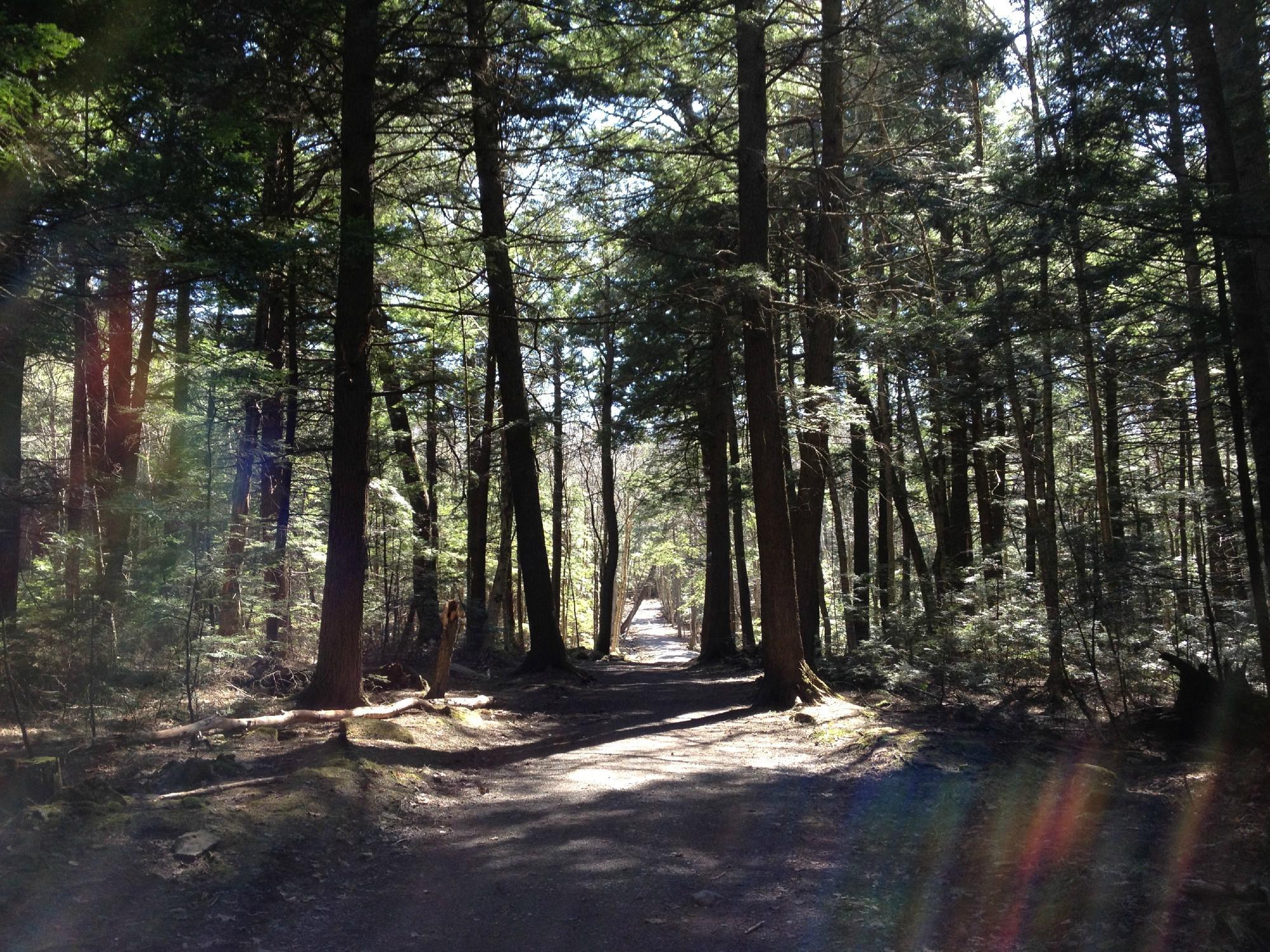 Odell Park