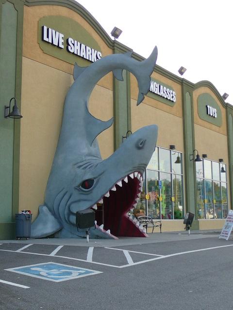 Photo by daisyferret1