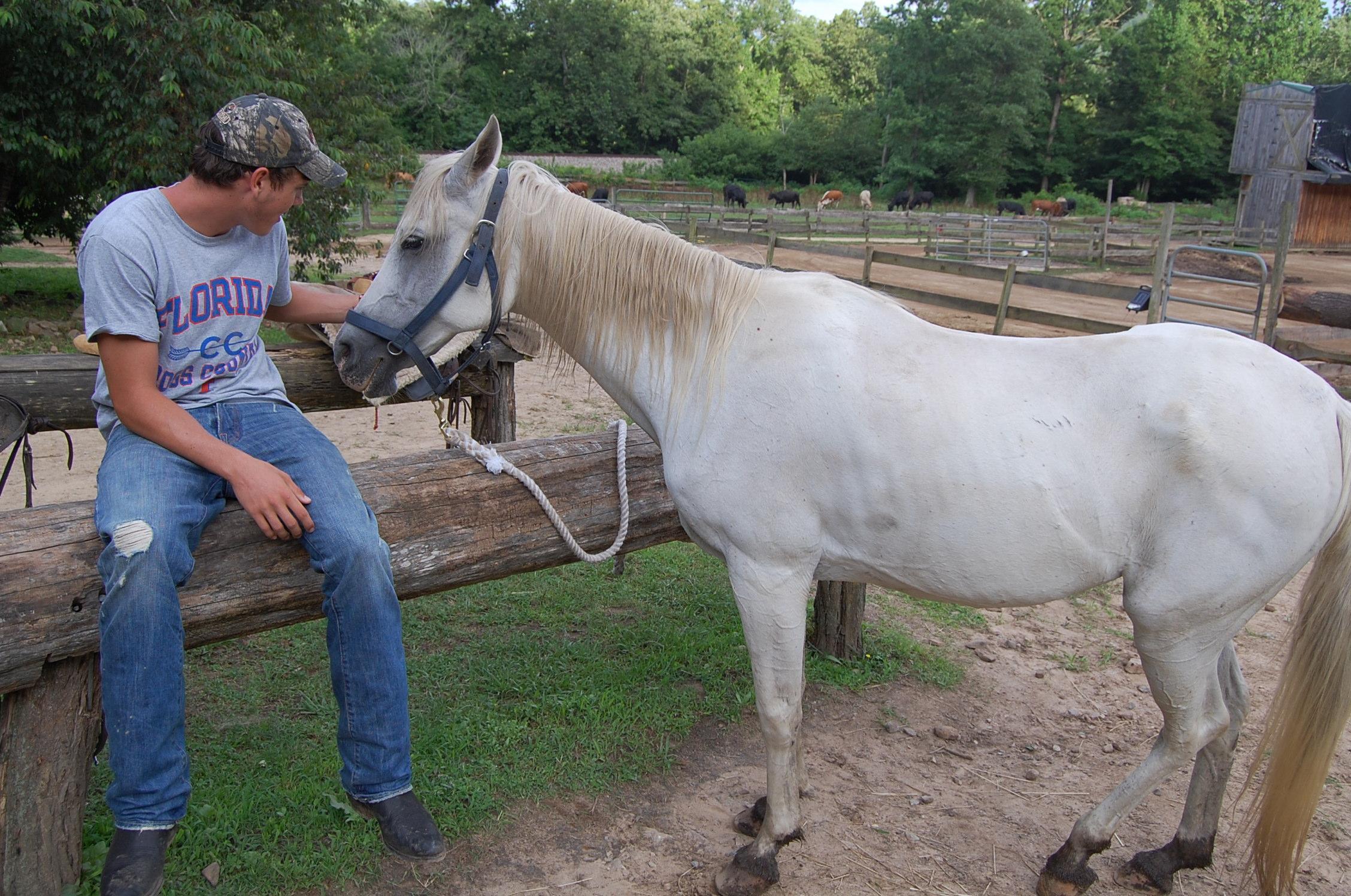 French Broad Outpost Ranch