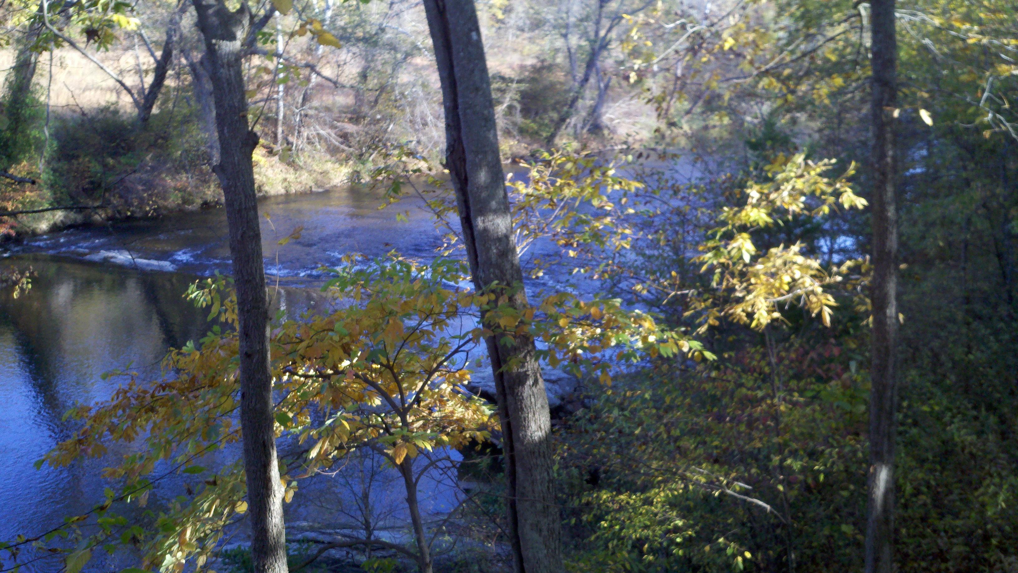 Photo by greenheronalehouse