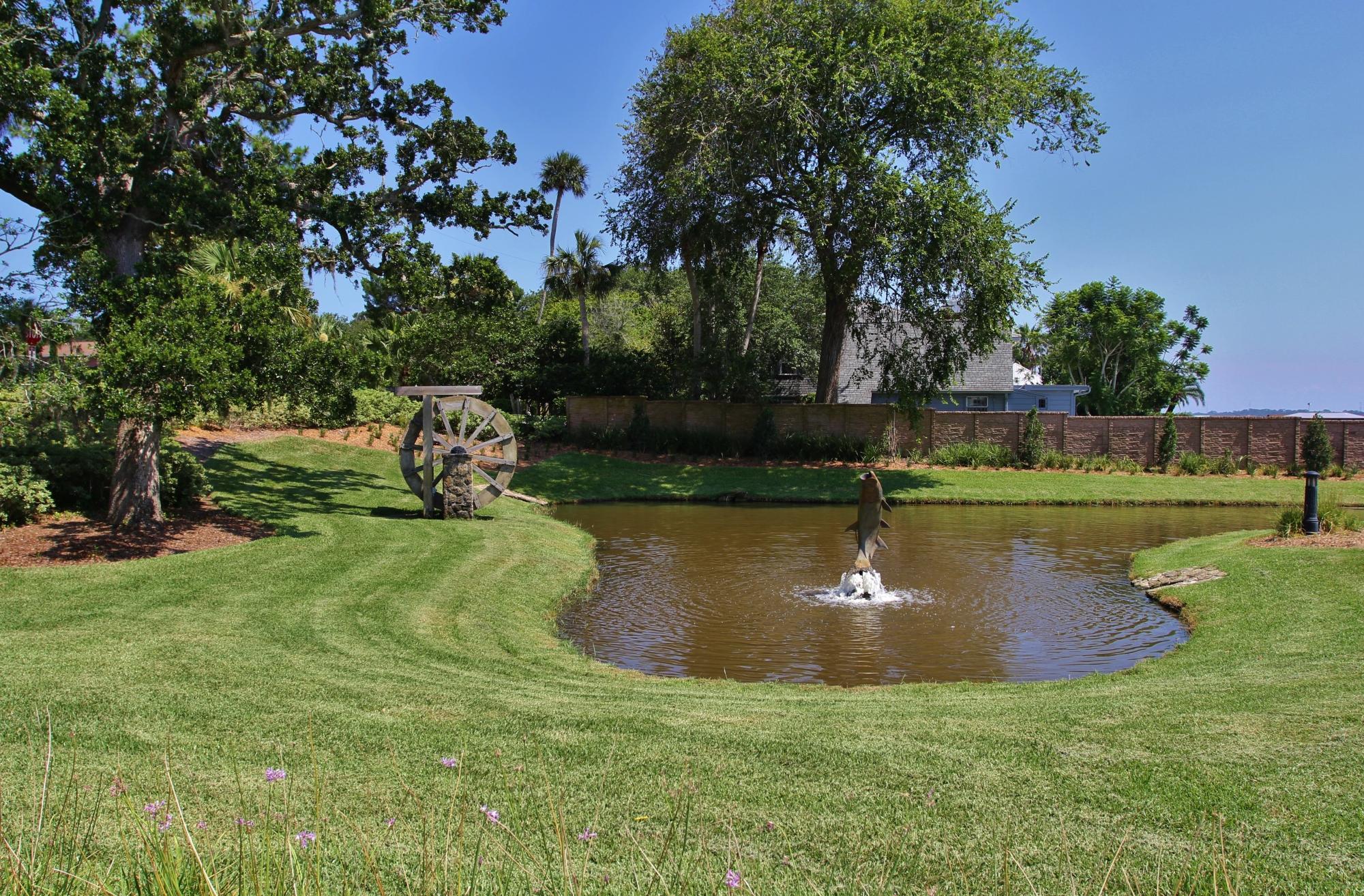 Photo by loneflower1