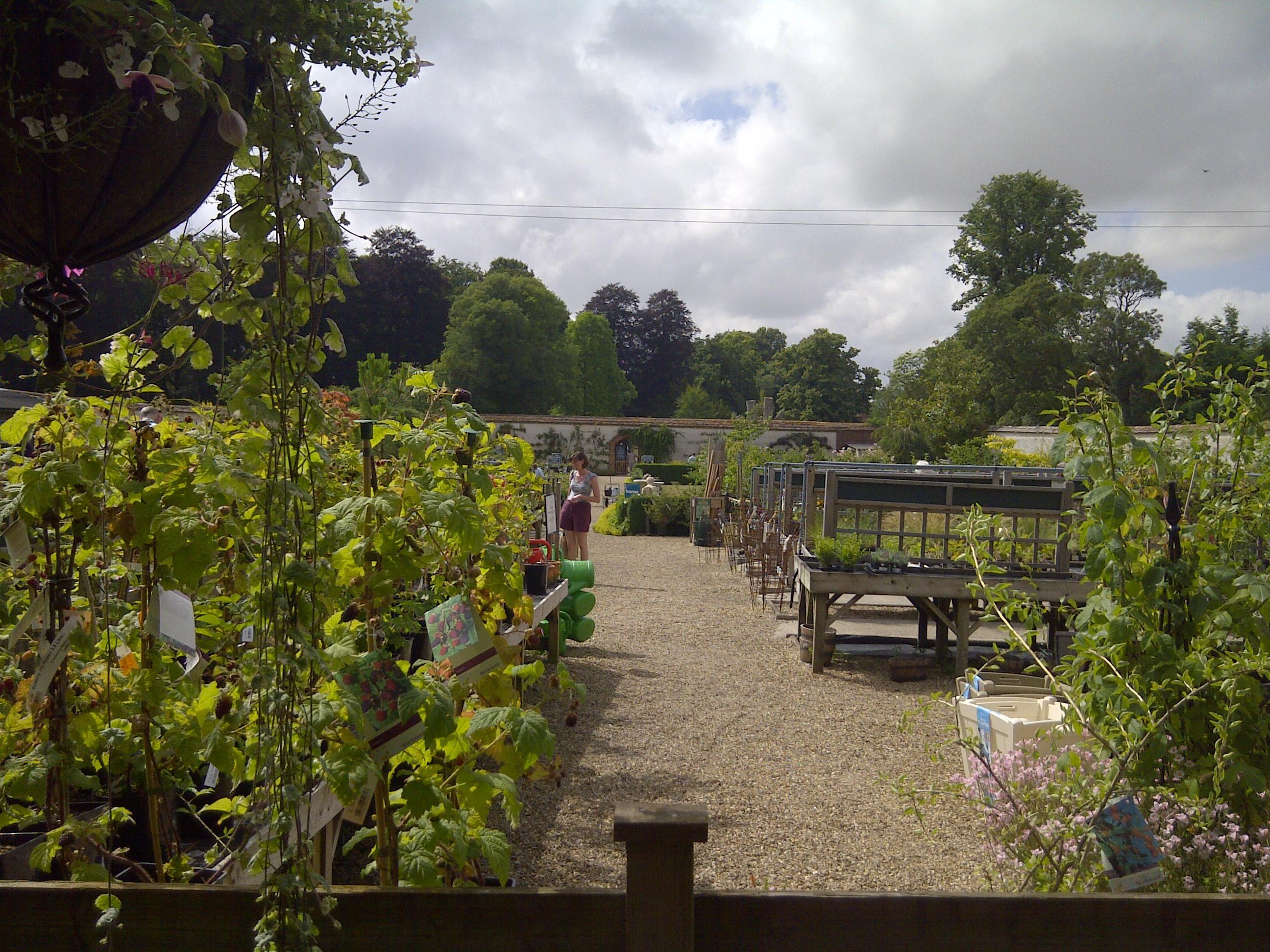 Photo by dorsetgourmet