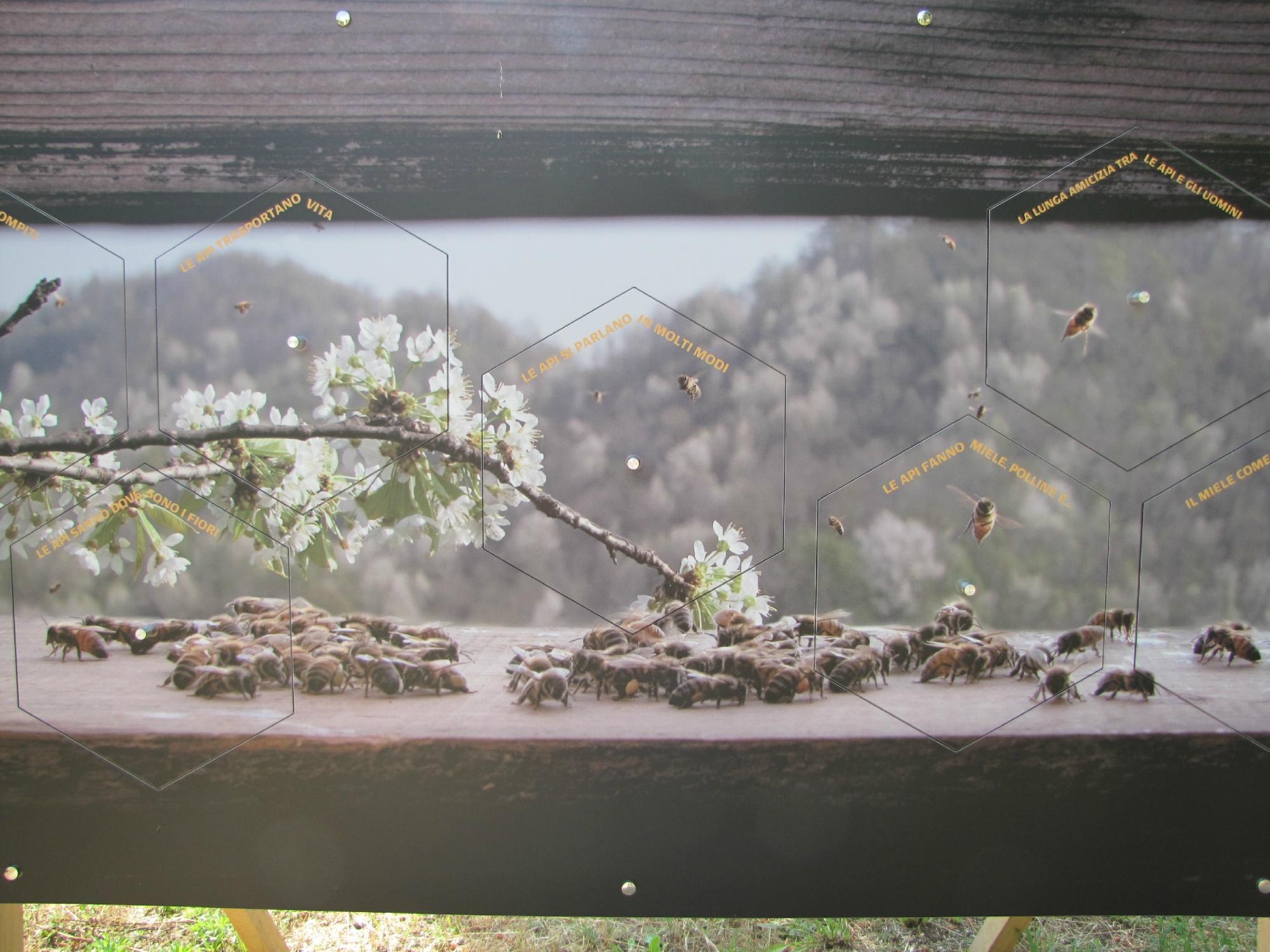 Il Parco delle Api e del Miele