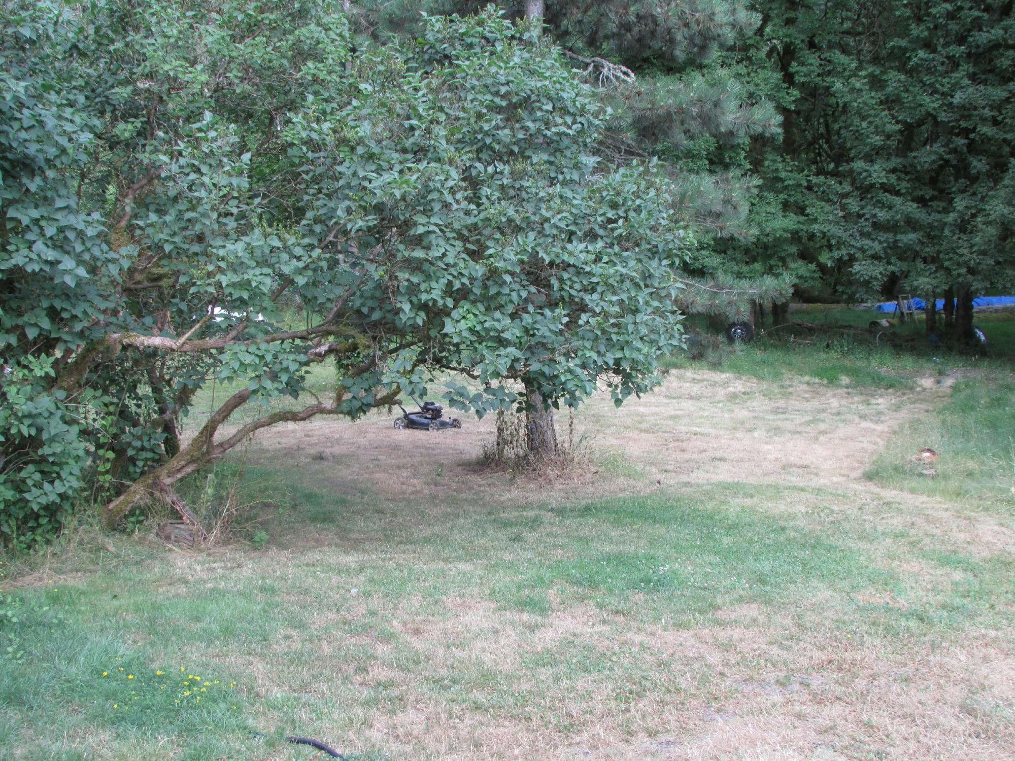 Molalla River Corridor