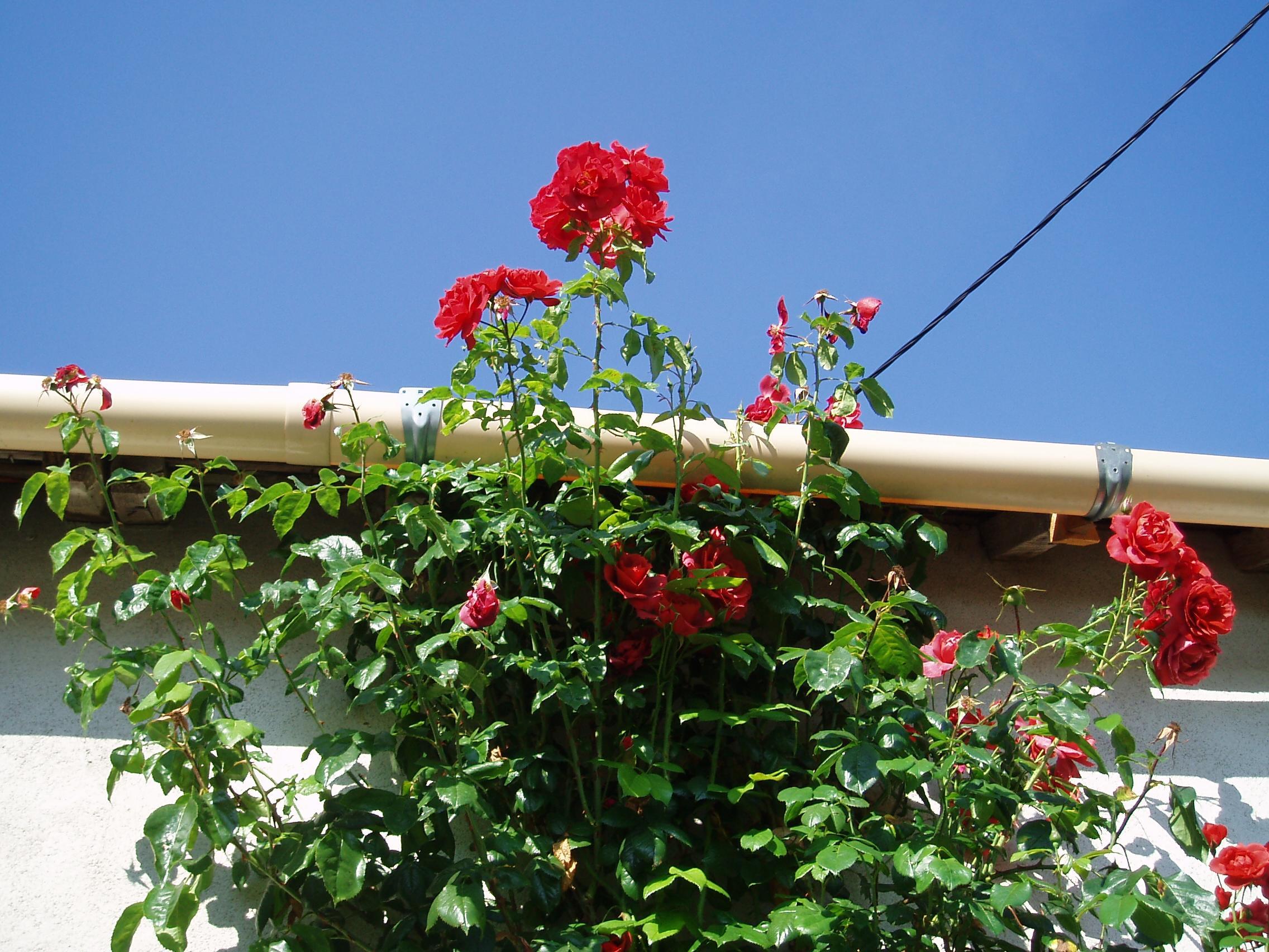 Berrychone Chambres d'Hotes