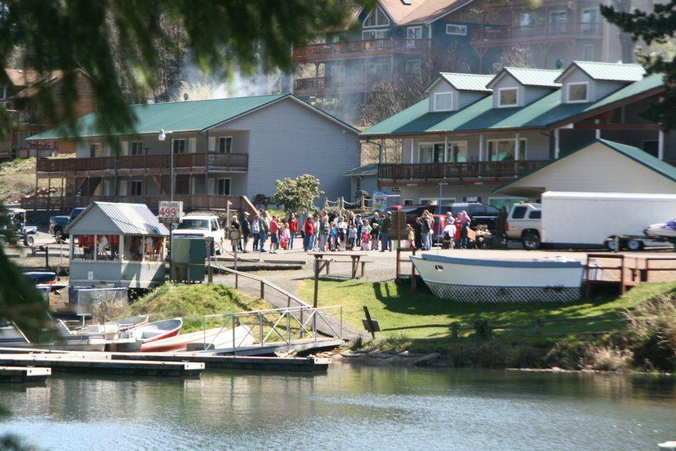 Lake Mayfield Resort & Marina