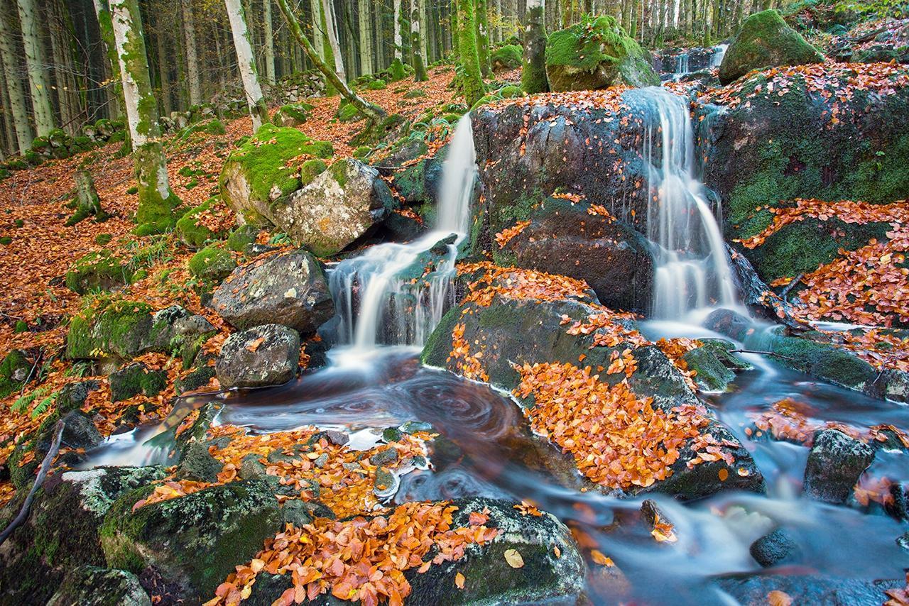 The Gallery at Laurieston