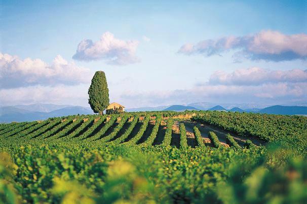 Prowinetour Day Tours