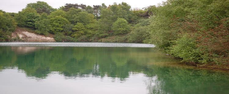 Divers Cove Scuba Diving