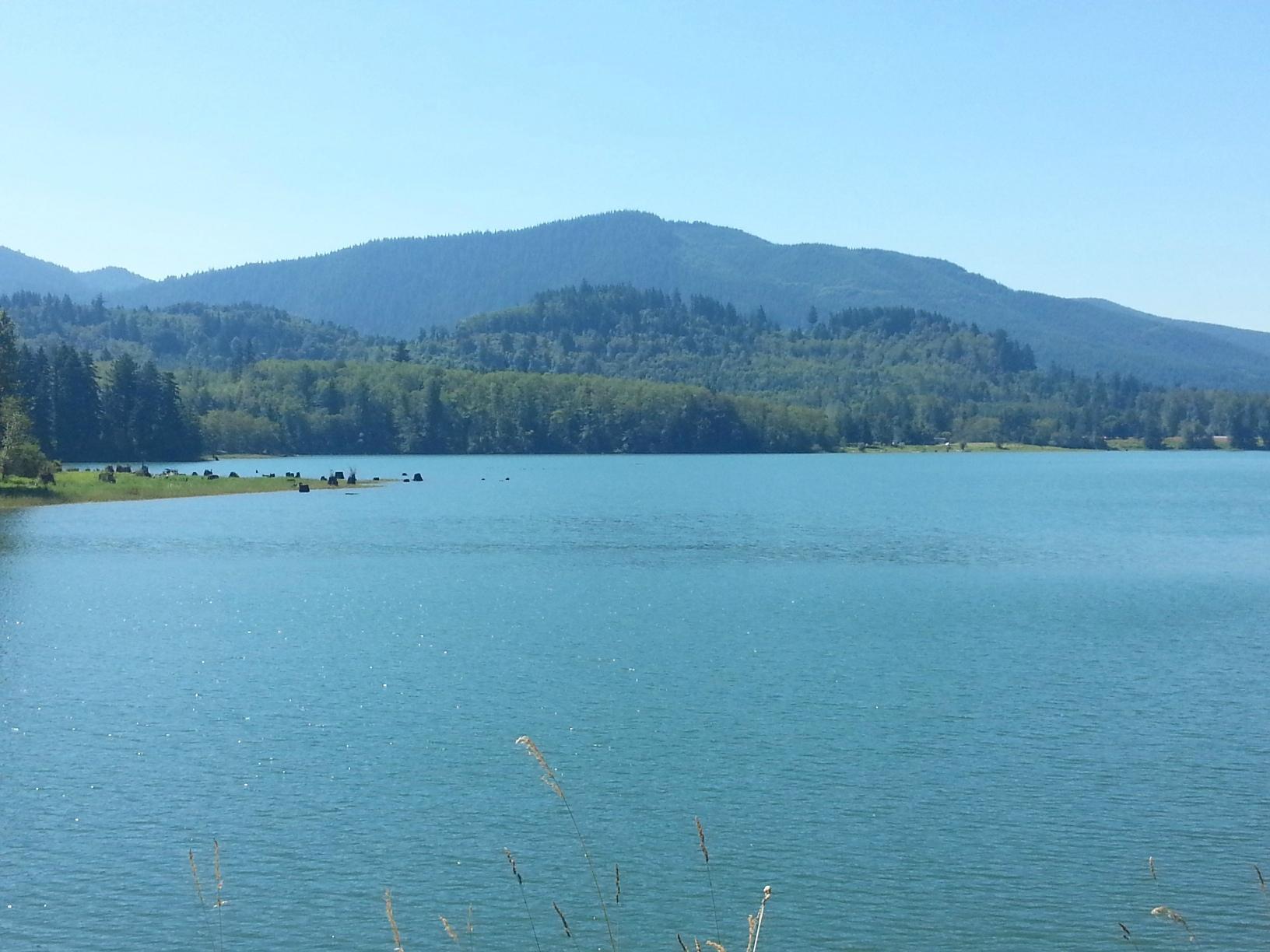 Alder Lake Park