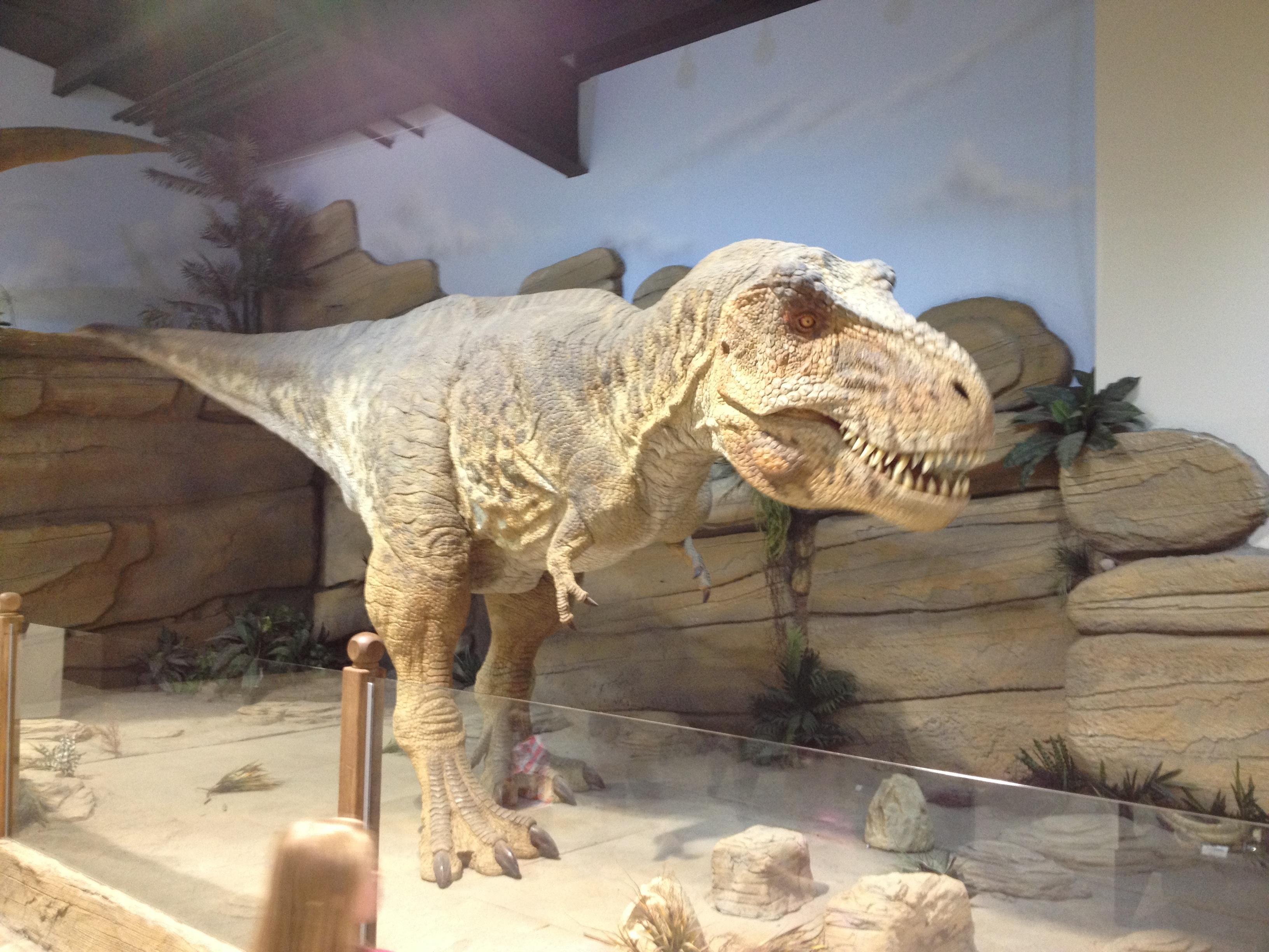 Fossil World Discovery Museum