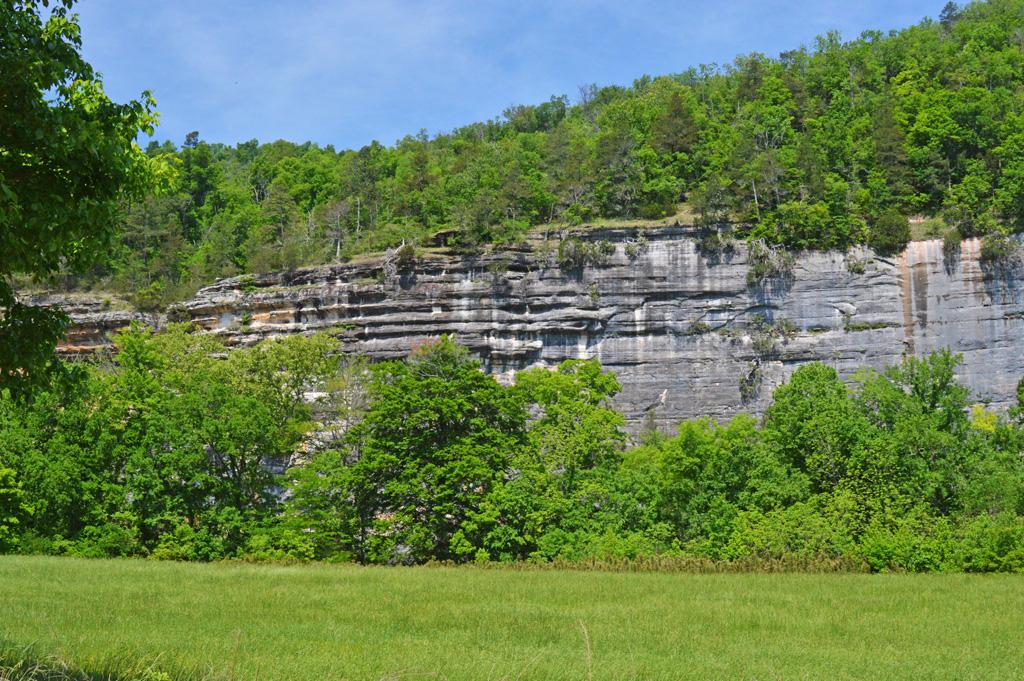 Wild Bills Outfitter