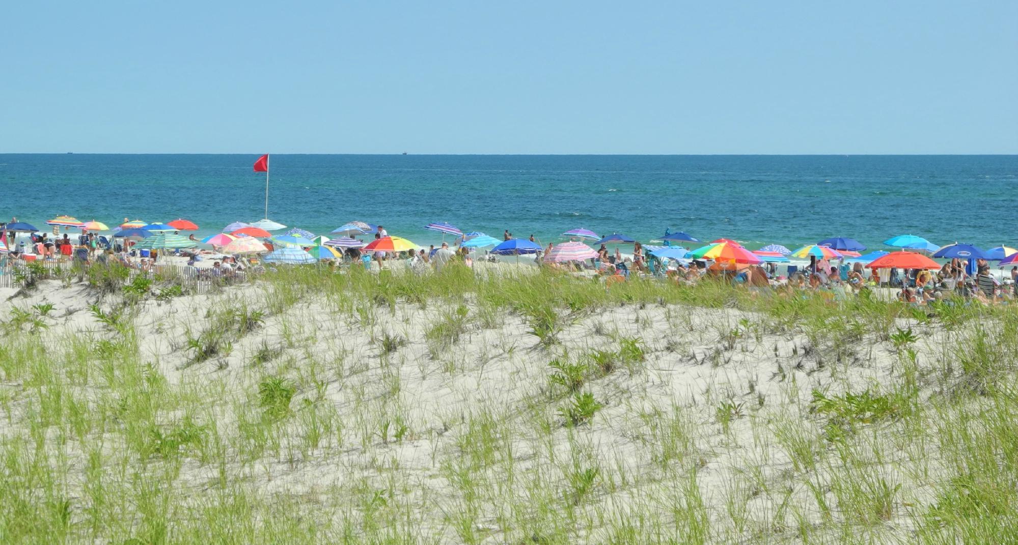 Cupsogue Beach County Park