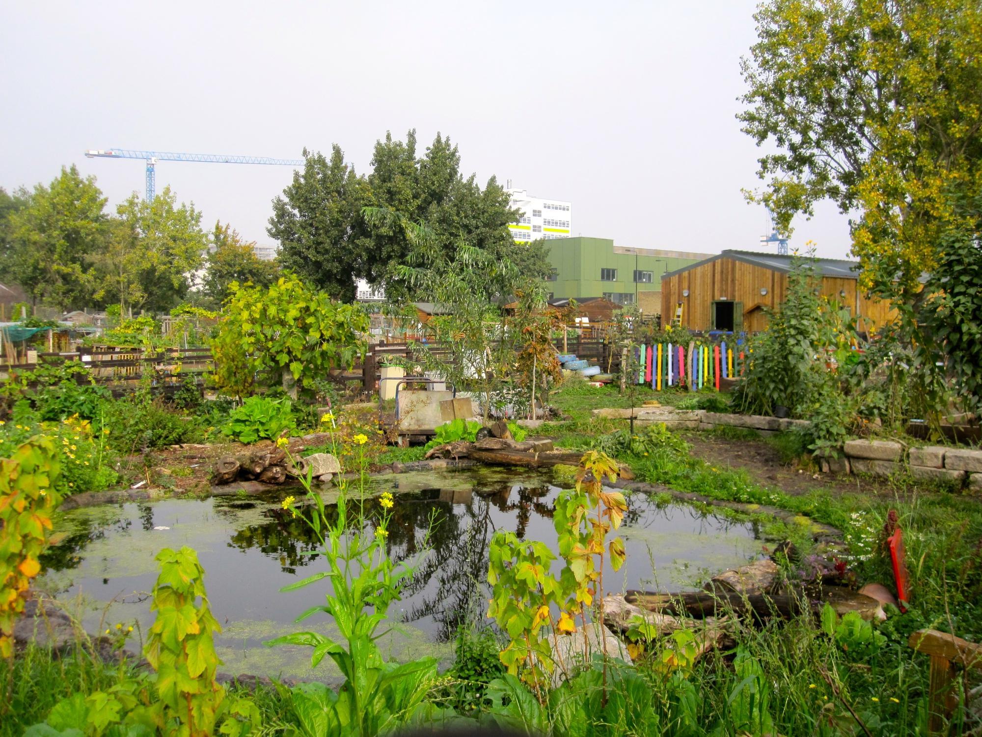 Stepney City Farm