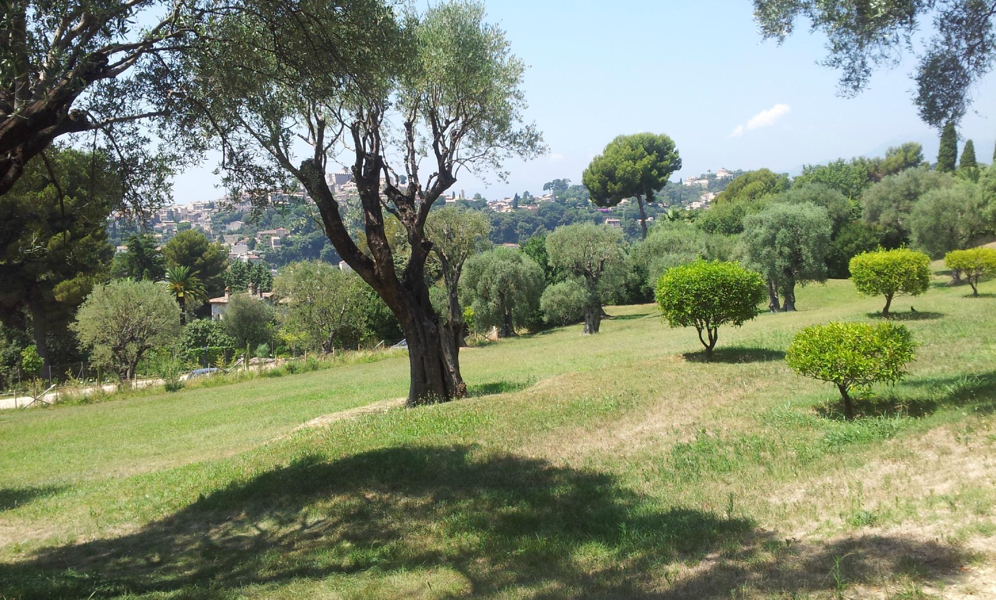 Musee Renoir/Les Collettes