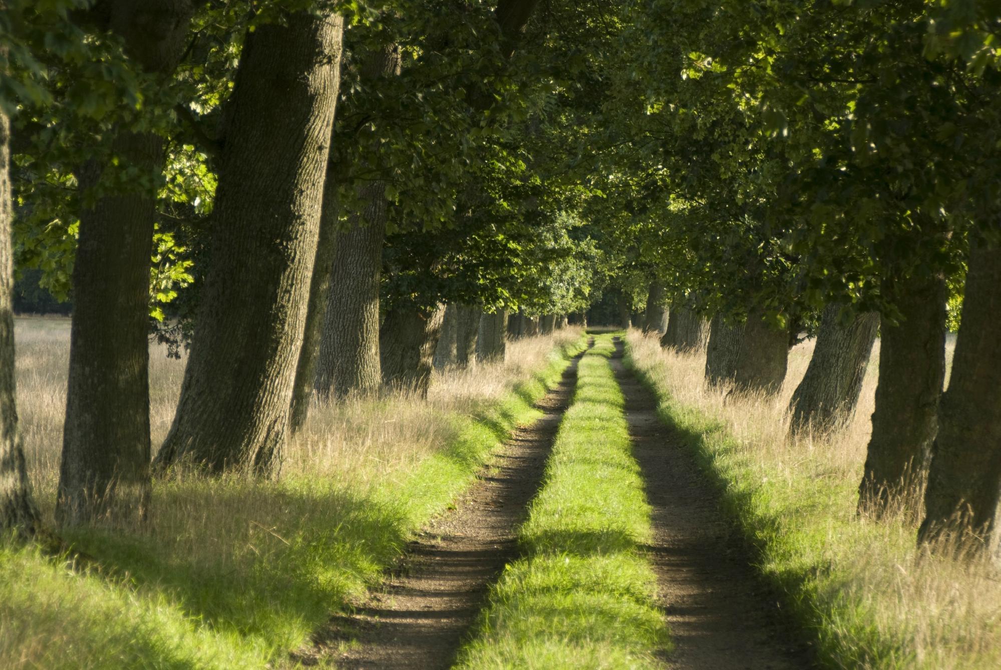 Lilla Kungsleden Hiking Trail
