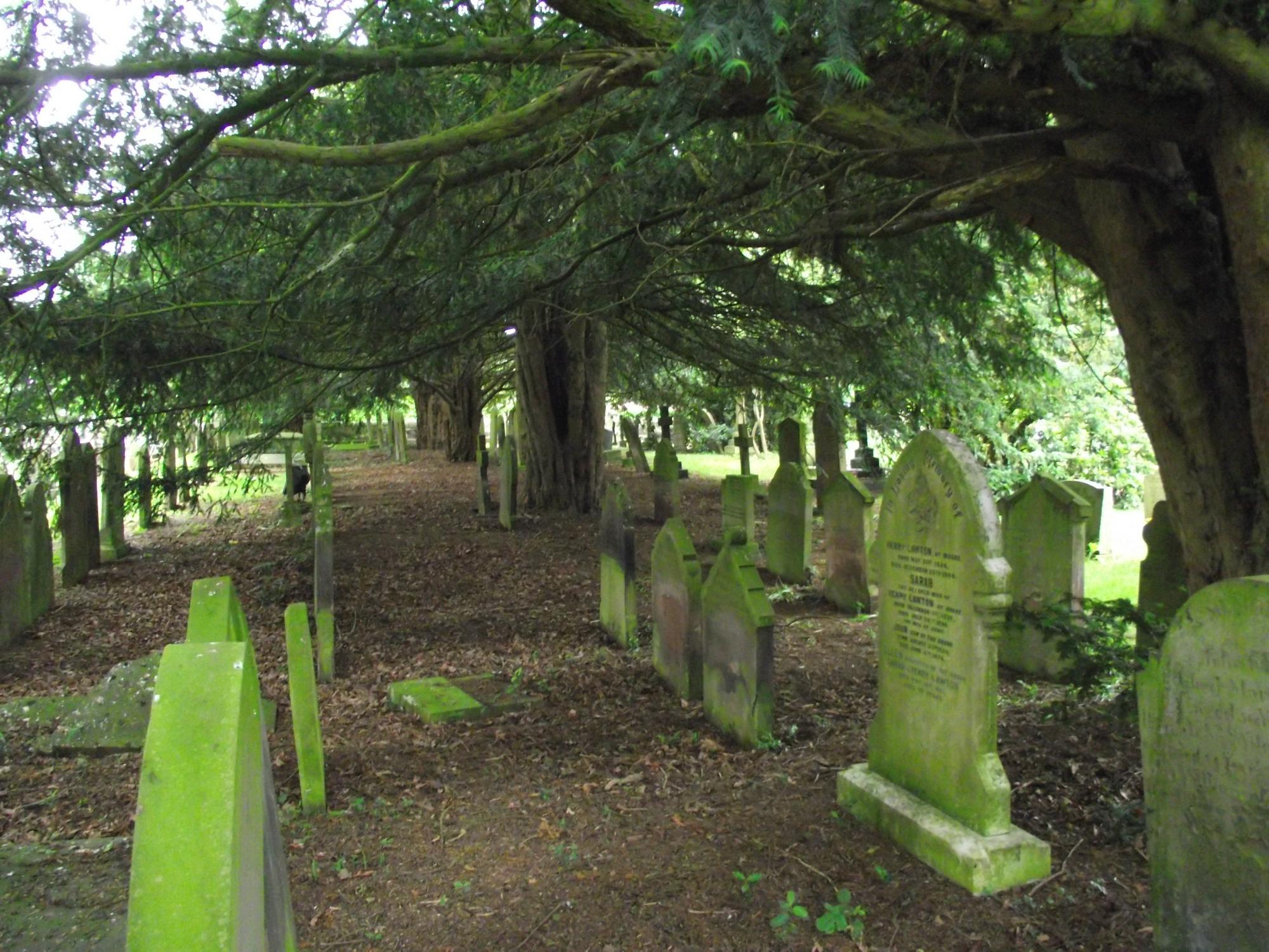 The All Saints Lewis Carroll Centre