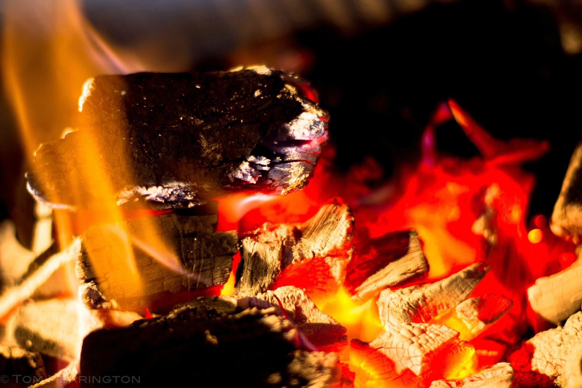 Two Bulls Steakhouse