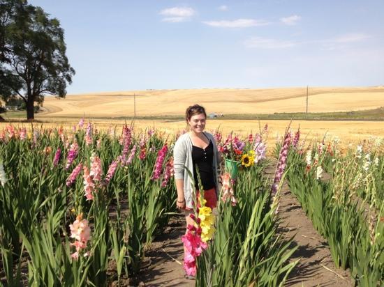 Sunshine Crafts and Flowers