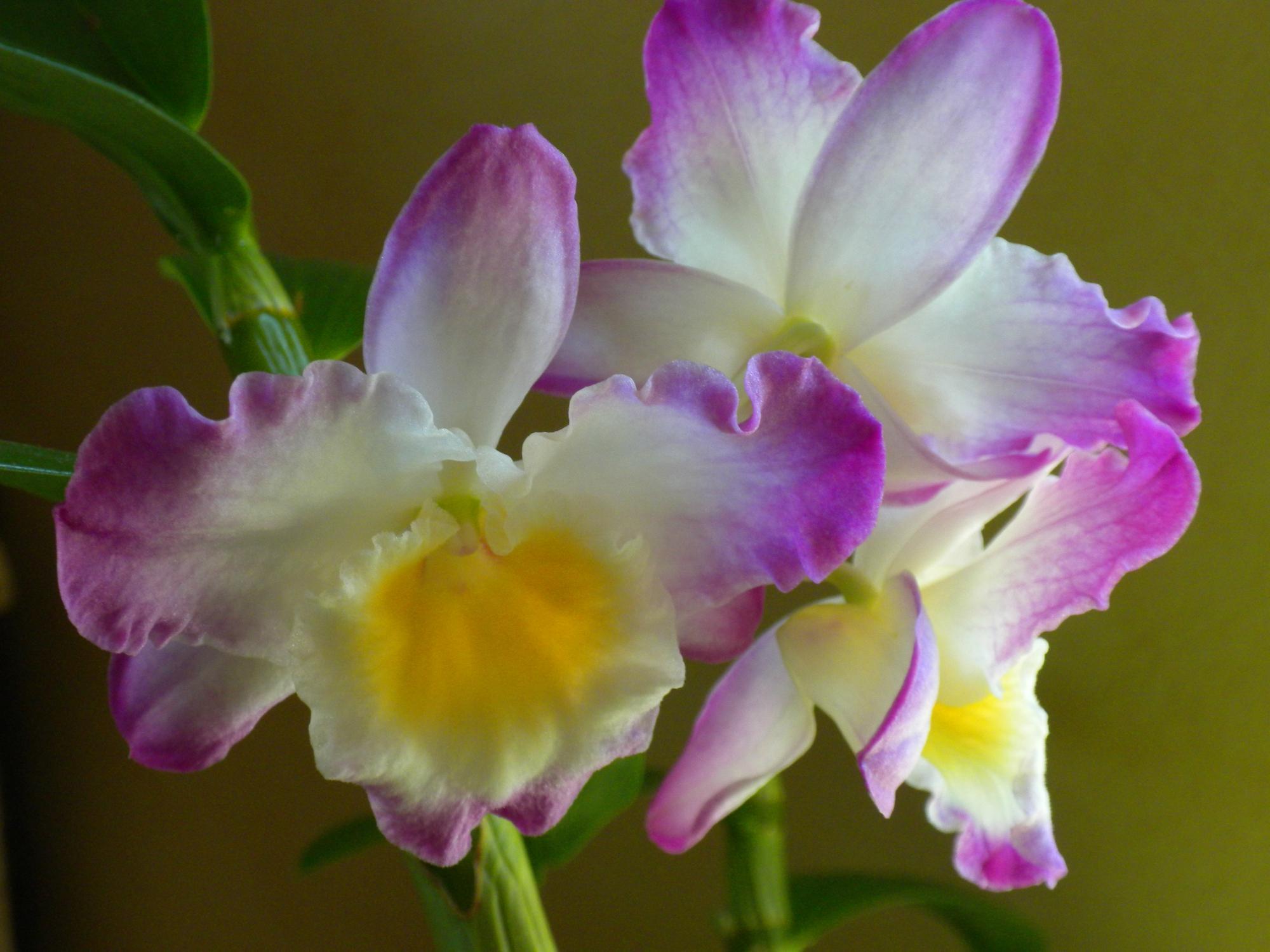 Photo by GoingToAll1000