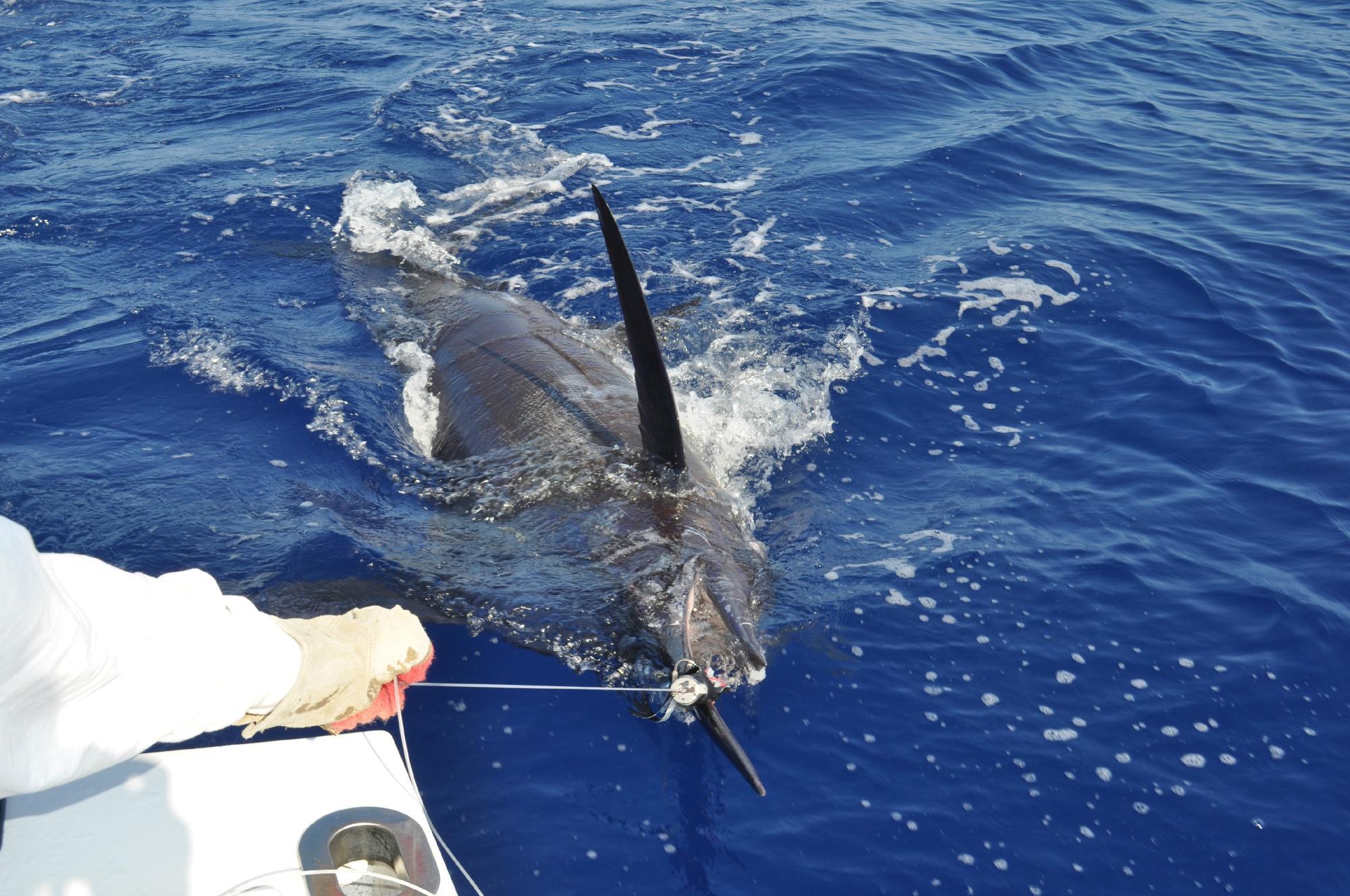 Makana Lani Charters