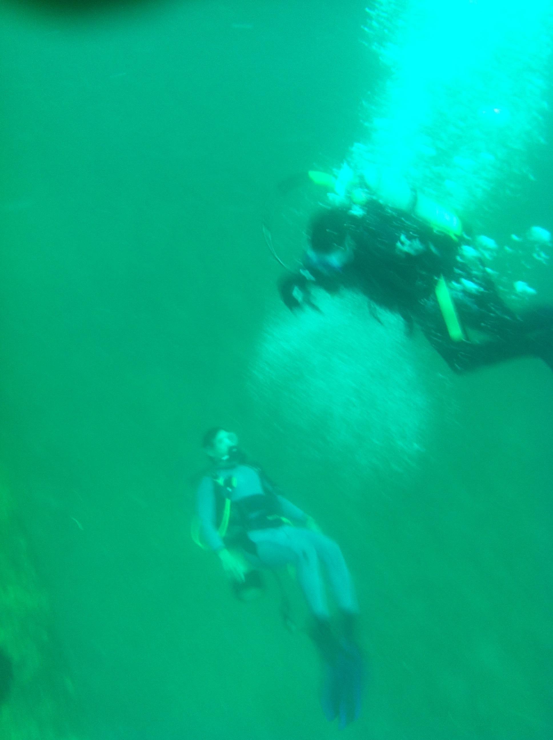 Due South Custom Charters