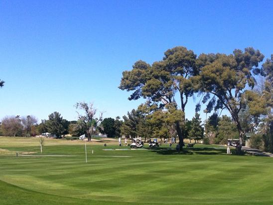 Yuma Golf And Country Club