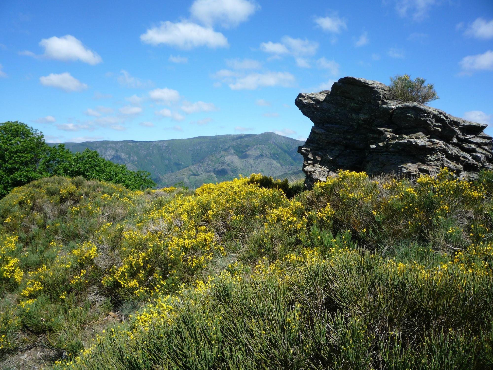 Office de Tourisme Mont Aigoual Causses Cévennes