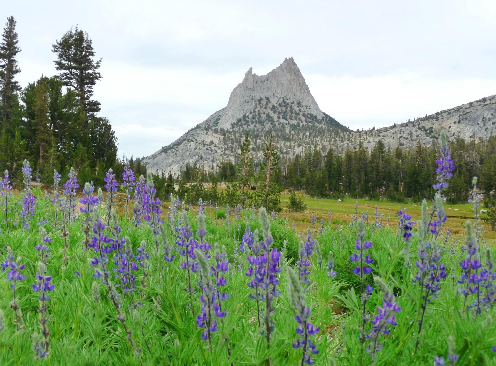 Photo by JRinGeorgia