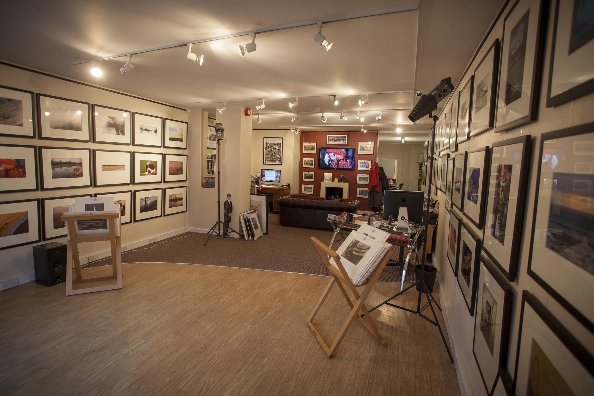 Rhubarb And Custard Photo Gallery