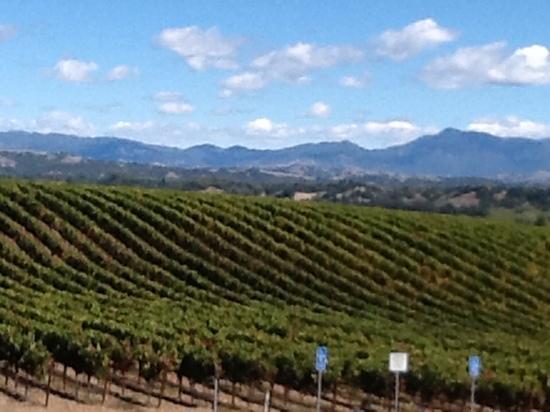 Williams Selyem Winery