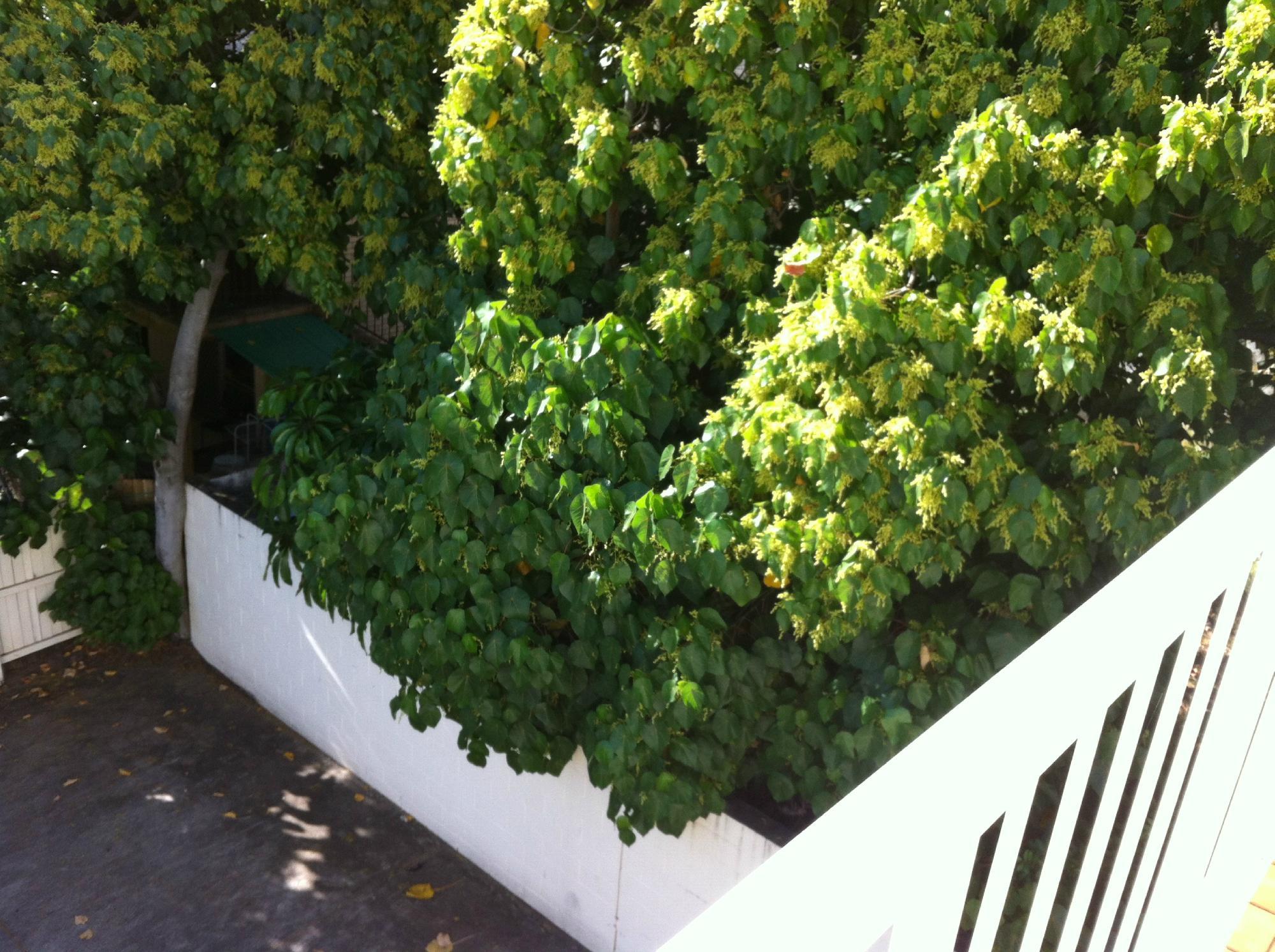 Photo by Magellano81