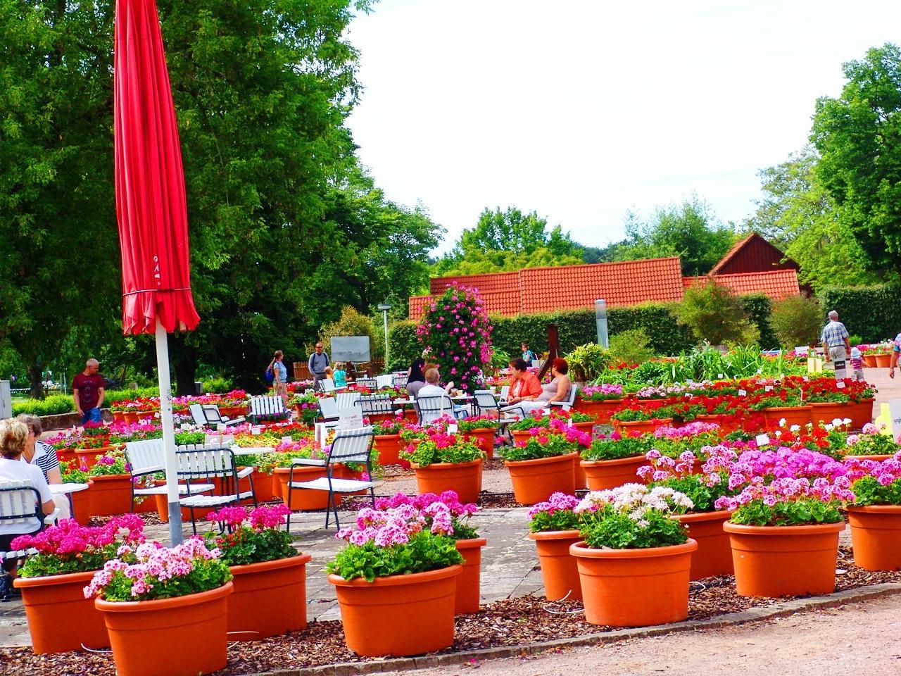 Photo by JournalRo_leben