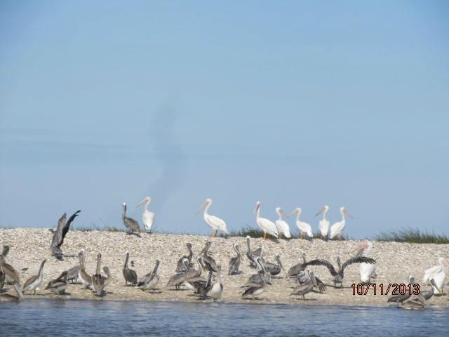 Photo by Josephine003