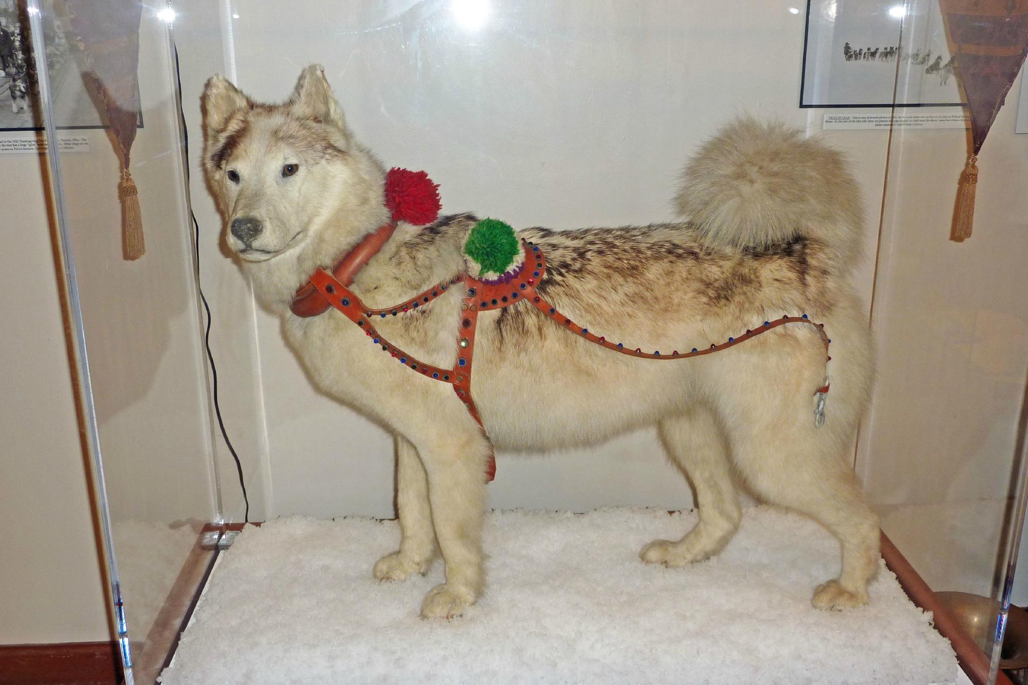 Carrie M. McLain Memorial Museum