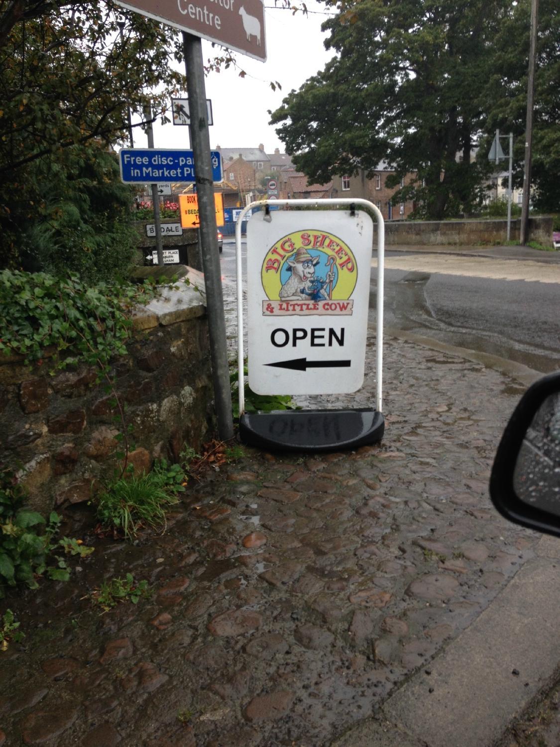 Big Sheep & Little Cow