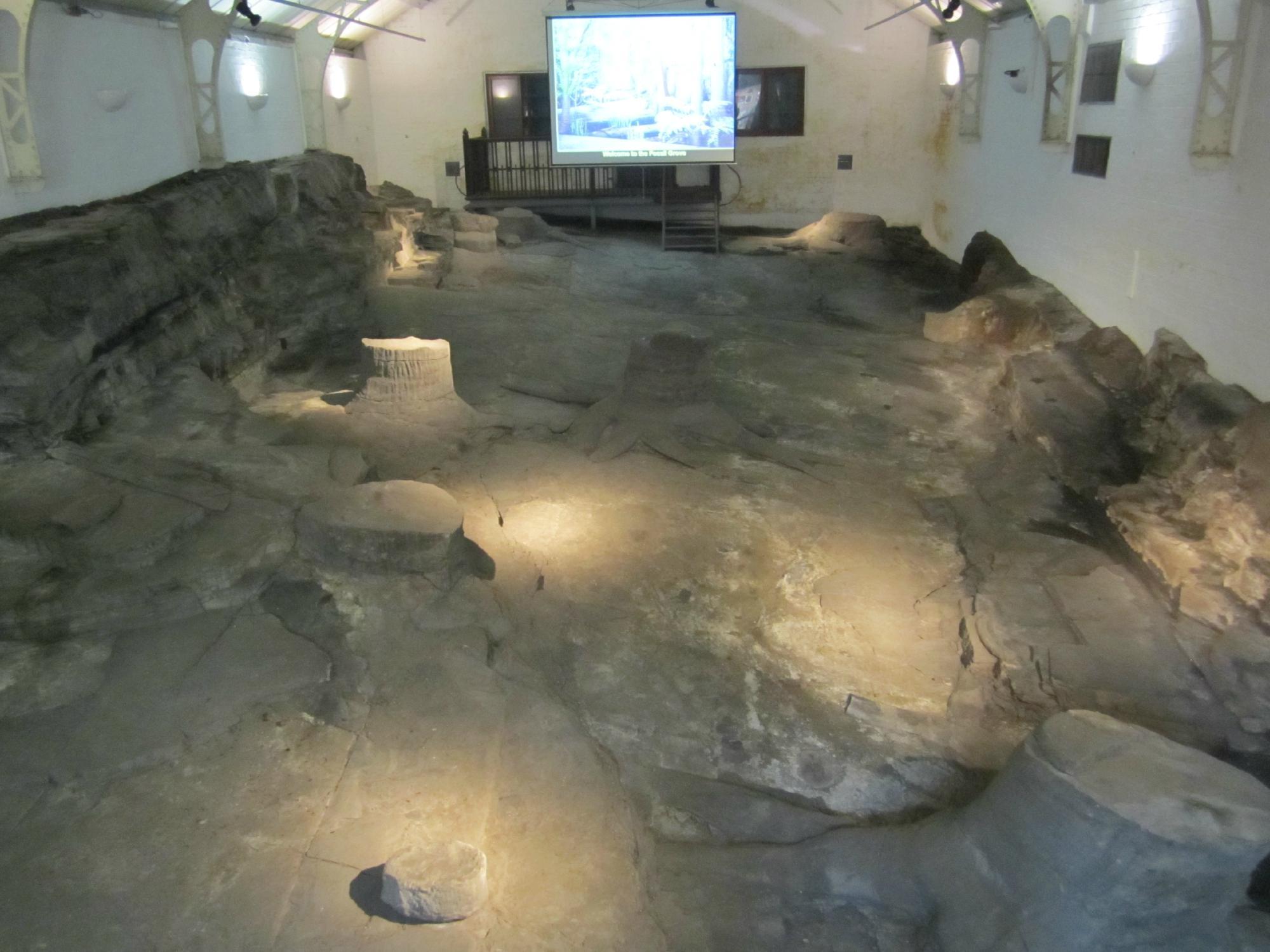 Victoria Park and Fossil Grove