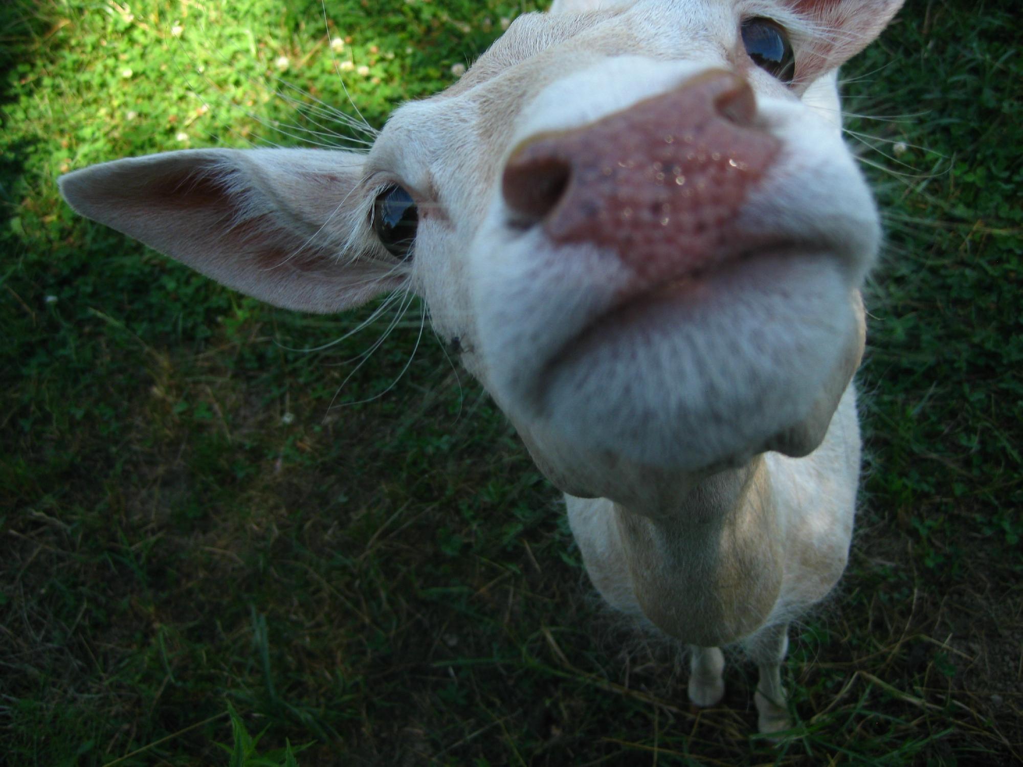 Tier- Wild- u. Spielpark Preding